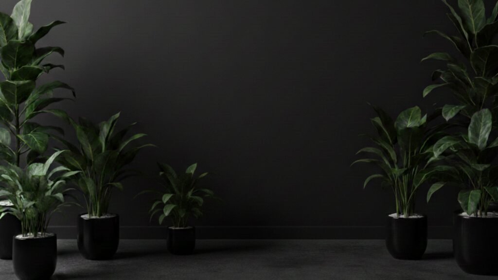 copy of mt25ministry.com